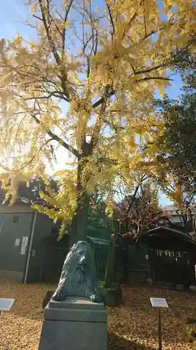 牛嶋神社の狛犬