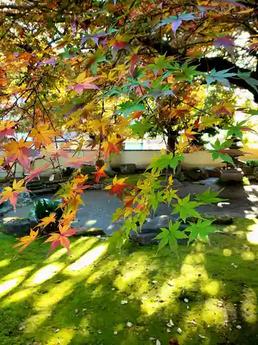 長仙寺(東京都)