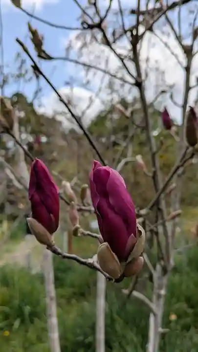 惠心院(京都府)