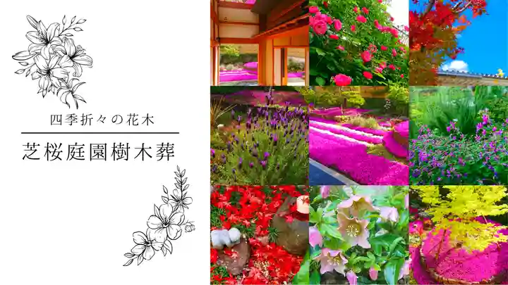 寿量山 速成寺(奈良県)