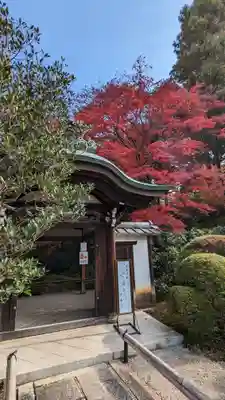 榮攝院（栄摂院）(京都府)