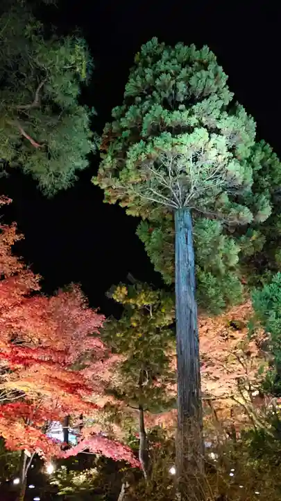 宝厳院(京都府)