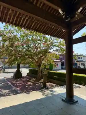 青柳寺(神奈川県)