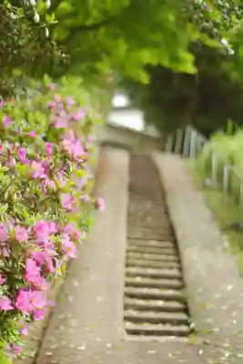 興聖寺(興聖寶林禅寺)(京都府)