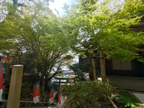 宝厳寺の{uncategorized: "未分類", other: "その他", undefined: "問題あり", building: "その他建物", grave: "お墓", sacred_gate: "鳥居", guardian: "狛犬", statue: "像", buddha: "仏像", history: "歴史", nature: "自然", garden: "庭園", animal: "動物", pagoda: "塔", temizu: "手水舎", mountain_gate: "山門・神門", sanctuary: "本殿・本堂", subordinate: "末社・摂社", art: "芸術", scenery: "景色", jizo: "地蔵", ema: "絵馬", goshuin: "御朱印", omikuji: "おみくじ", items: "授与品その他", amulet: "お守り", goshuincho: "御朱印帳", eats: "食事", festival: "お祭り", votive_dance: "神楽", shichigosan: "七五三参", wedding: "結婚式", experience: "体験その他", initially: "初詣", around: "周辺", anti_infection: "感染症対策"}