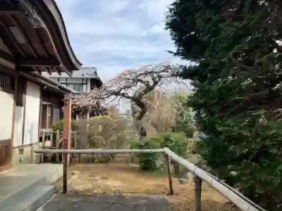 南養寺の{uncategorized: "未分類", other: "その他", undefined: "問題あり", building: "その他建物", grave: "お墓", sacred_gate: "鳥居", guardian: "狛犬", statue: "像", buddha: "仏像", history: "歴史", nature: "自然", garden: "庭園", animal: "動物", pagoda: "塔", temizu: "手水舎", mountain_gate: "山門・神門", sanctuary: "本殿・本堂", subordinate: "末社・摂社", art: "芸術", scenery: "景色", jizo: "地蔵", ema: "絵馬", goshuin: "御朱印", omikuji: "おみくじ", items: "授与品その他", amulet: "お守り", goshuincho: "御朱印帳", eats: "食事", festival: "お祭り", votive_dance: "神楽", shichigosan: "七五三参", wedding: "結婚式", experience: "体験その他", initially: "初詣", around: "周辺", anti_infection: "感染症対策"}