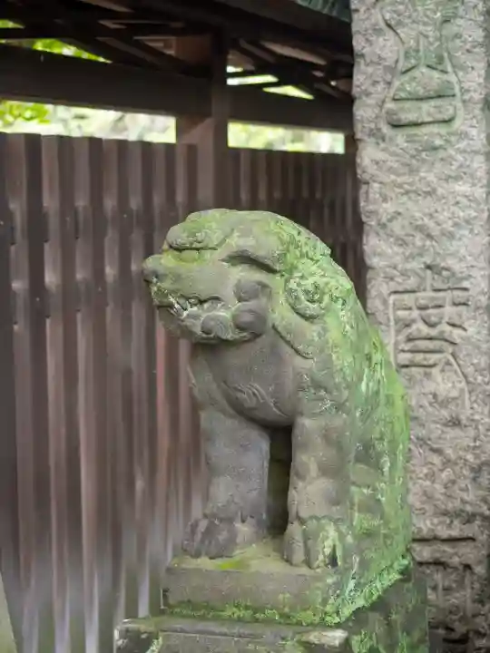 牛嶋神社の狛犬