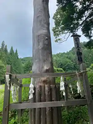 諏訪大社上社前宮(長野県)