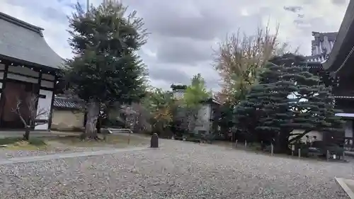 梅宮大社(京都府)