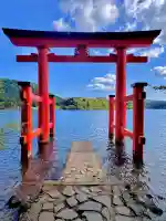 箱根神社(神奈川県)