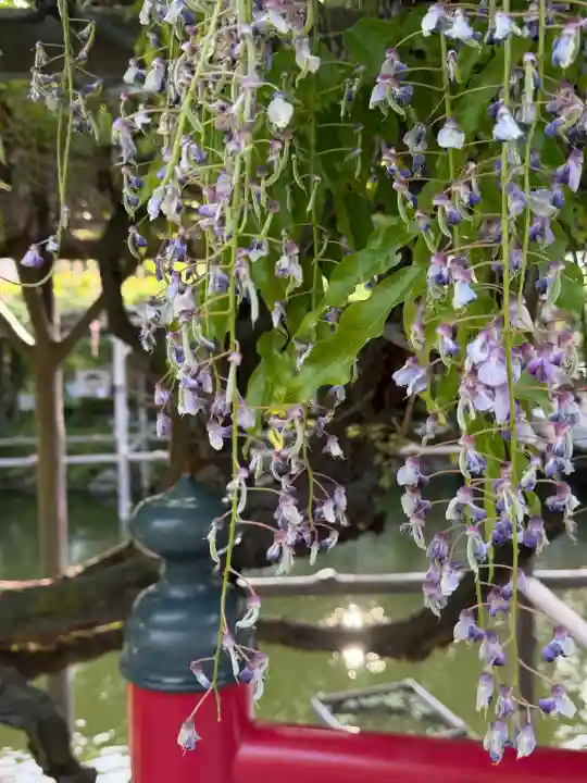 亀戸天神社の{uncategorized: "未分類", other: "その他", undefined: "問題あり", building: "その他建物", grave: "お墓", sacred_gate: "鳥居", guardian: "狛犬", statue: "像", buddha: "仏像", history: "歴史", nature: "自然", garden: "庭園", animal: "動物", pagoda: "塔", temizu: "手水舎", mountain_gate: "山門・神門", sanctuary: "本殿・本堂", subordinate: "末社・摂社", art: "芸術", scenery: "景色", jizo: "地蔵", ema: "絵馬", goshuin: "御朱印", omikuji: "おみくじ", items: "授与品その他", amulet: "お守り", goshuincho: "御朱印帳", eats: "食事", festival: "お祭り", votive_dance: "神楽", shichigosan: "七五三参", wedding: "結婚式", experience: "体験その他", initially: "初詣", around: "周辺", anti_infection: "感染症対策"}