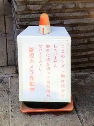 成願寺(東京都)