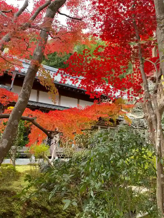 華厳寺(鈴虫寺)(京都府)