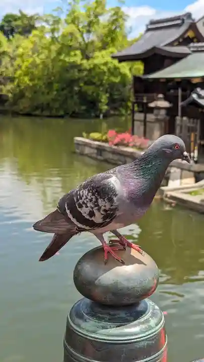 神泉苑(京都府)