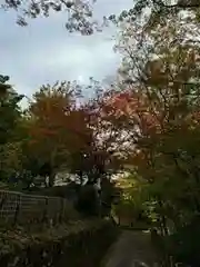 日枝神社(岐阜県)