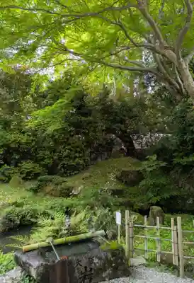 𠮷水神社（吉水神社）(奈良県)