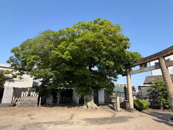 日吉神社の{uncategorized: "未分類", other: "その他", undefined: "問題あり", building: "その他建物", grave: "お墓", sacred_gate: "鳥居", guardian: "狛犬", statue: "像", buddha: "仏像", history: "歴史", nature: "自然", garden: "庭園", animal: "動物", pagoda: "塔", temizu: "手水舎", mountain_gate: "山門・神門", sanctuary: "本殿・本堂", subordinate: "末社・摂社", art: "芸術", scenery: "景色", jizo: "地蔵", ema: "絵馬", goshuin: "御朱印", omikuji: "おみくじ", items: "授与品その他", amulet: "お守り", goshuincho: "御朱印帳", eats: "食事", festival: "お祭り", votive_dance: "神楽", shichigosan: "七五三参", wedding: "結婚式", experience: "体験その他", initially: "初詣", around: "周辺", anti_infection: "感染症対策"}
