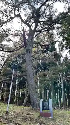 荒神社(北海道)