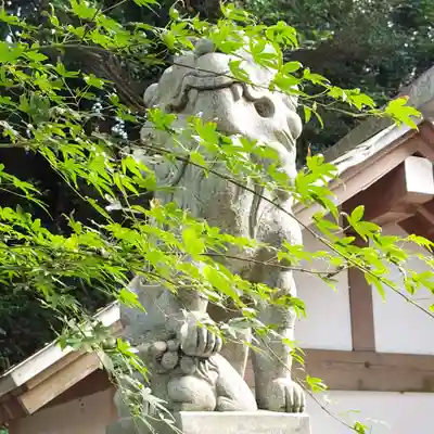 泉神社の狛犬