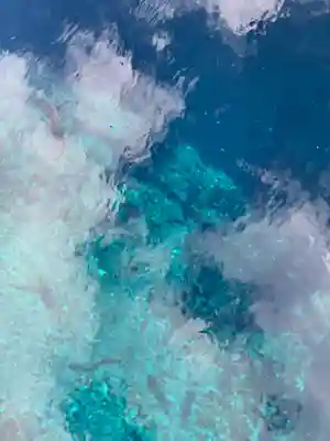 淺間神社（忍野八海）の周辺