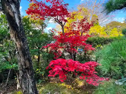 道神社(富山県)