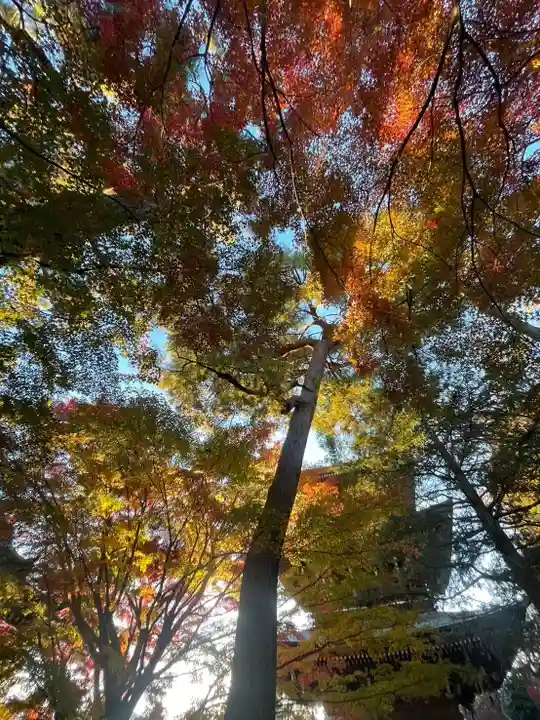 三寳寺(東京都)