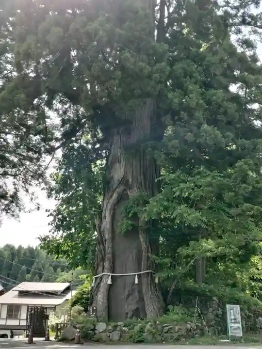 戸隠神社中社(長野県)