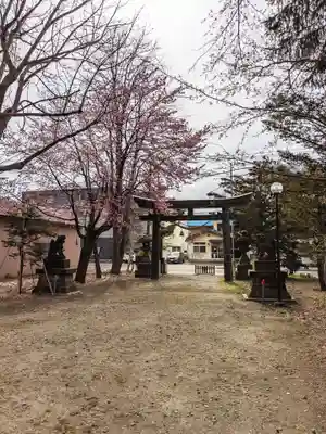 信濃神社の鳥居