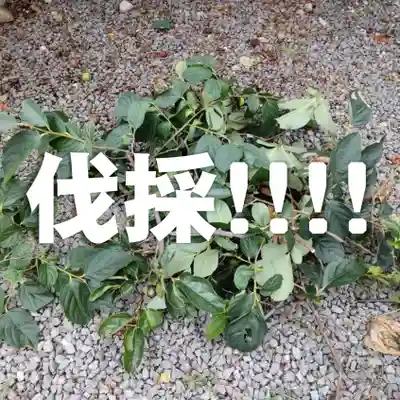 七重浜海津見神社(北海道)