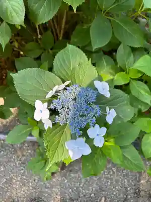 磯山神社(栃木県)