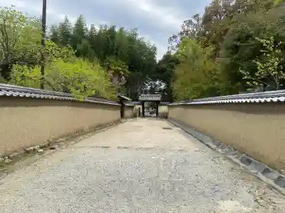 東大寺戒壇院千手堂の{uncategorized: "未分類", other: "その他", undefined: "問題あり", building: "その他建物", grave: "お墓", sacred_gate: "鳥居", guardian: "狛犬", statue: "像", buddha: "仏像", history: "歴史", nature: "自然", garden: "庭園", animal: "動物", pagoda: "塔", temizu: "手水舎", mountain_gate: "山門・神門", sanctuary: "本殿・本堂", subordinate: "末社・摂社", art: "芸術", scenery: "景色", jizo: "地蔵", ema: "絵馬", goshuin: "御朱印", omikuji: "おみくじ", items: "授与品その他", amulet: "お守り", goshuincho: "御朱印帳", eats: "食事", festival: "お祭り", votive_dance: "神楽", shichigosan: "七五三参", wedding: "結婚式", experience: "体験その他", initially: "初詣", around: "周辺", anti_infection: "感染症対策"}