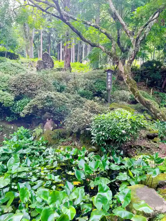 岩松院(長野県)