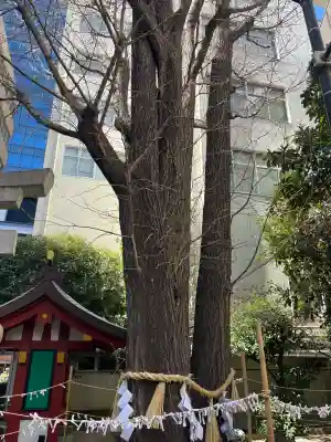 日本橋日枝神社の{uncategorized: "未分類", other: "その他", undefined: "問題あり", building: "その他建物", grave: "お墓", sacred_gate: "鳥居", guardian: "狛犬", statue: "像", buddha: "仏像", history: "歴史", nature: "自然", garden: "庭園", animal: "動物", pagoda: "塔", temizu: "手水舎", mountain_gate: "山門・神門", sanctuary: "本殿・本堂", subordinate: "末社・摂社", art: "芸術", scenery: "景色", jizo: "地蔵", ema: "絵馬", goshuin: "御朱印", omikuji: "おみくじ", items: "授与品その他", amulet: "お守り", goshuincho: "御朱印帳", eats: "食事", festival: "お祭り", votive_dance: "神楽", shichigosan: "七五三参", wedding: "結婚式", experience: "体験その他", initially: "初詣", around: "周辺", anti_infection: "感染症対策"}