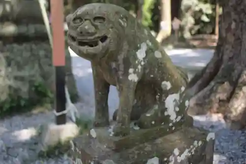 間々田八幡宮の狛犬