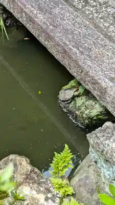 宝蔵寺(京都府)