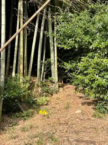 貴舩神社(福岡県)