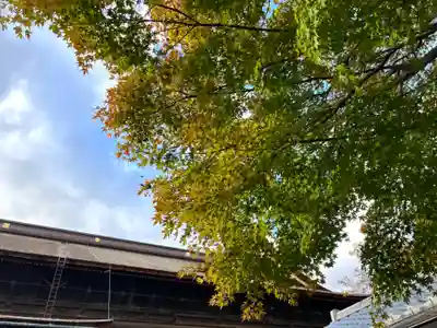 善光寺(長野県)