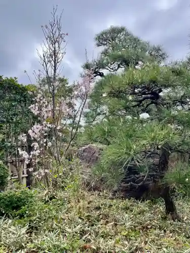 日蓮宗龍口山本龍寺の{uncategorized: "未分類", other: "その他", undefined: "問題あり", building: "その他建物", grave: "お墓", sacred_gate: "鳥居", guardian: "狛犬", statue: "像", buddha: "仏像", history: "歴史", nature: "自然", garden: "庭園", animal: "動物", pagoda: "塔", temizu: "手水舎", mountain_gate: "山門・神門", sanctuary: "本殿・本堂", subordinate: "末社・摂社", art: "芸術", scenery: "景色", jizo: "地蔵", ema: "絵馬", goshuin: "御朱印", omikuji: "おみくじ", items: "授与品その他", amulet: "お守り", goshuincho: "御朱印帳", eats: "食事", festival: "お祭り", votive_dance: "神楽", shichigosan: "七五三参", wedding: "結婚式", experience: "体験その他", initially: "初詣", around: "周辺", anti_infection: "感染症対策"}