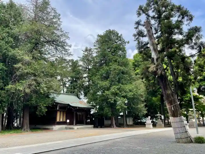 東村山八坂神社(東京都)