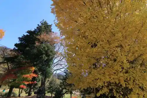 日枝神社の庭園