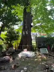 戸越八幡神社(東京都)