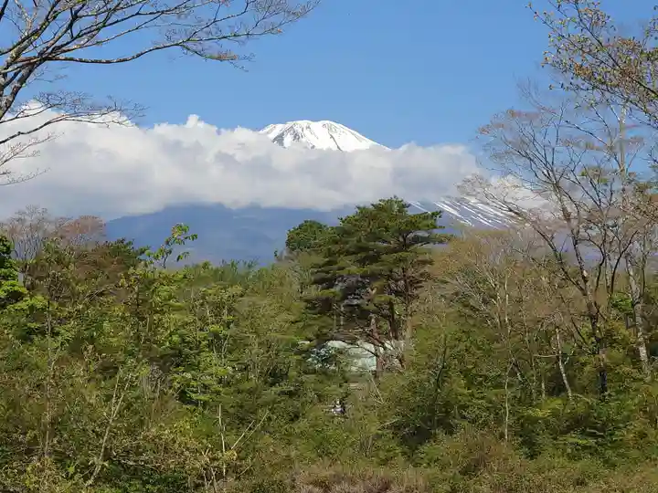 胎内神社(静岡県)