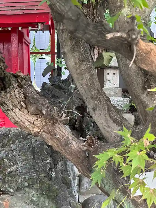 八幡八雲神社(東京都)