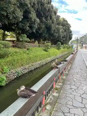 鑁阿寺(栃木県)