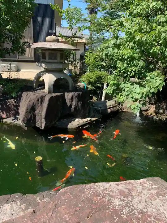 照源寺(三重県)