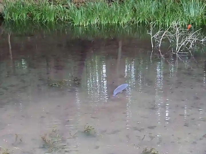 赤城神社(三夜沢町)(群馬県)