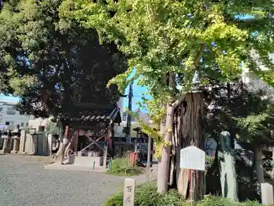 八坂神社(上のやさかさん)のその他建物