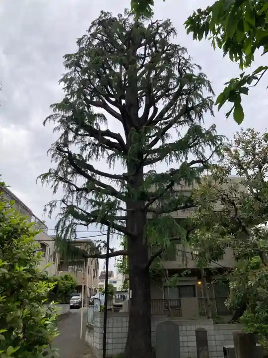仙寿院(東京都)