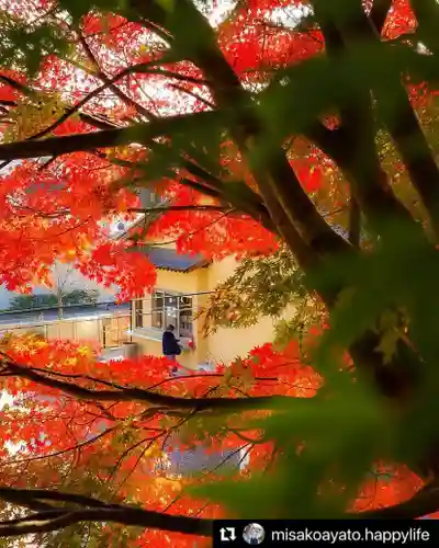 滑川神社 - 仕事と子どもの守り神の自然