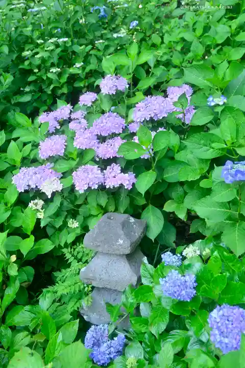 長谷寺のその他建物